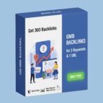 Rank Google My Business Basic plan